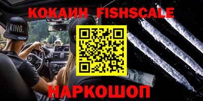 крисы Гай
