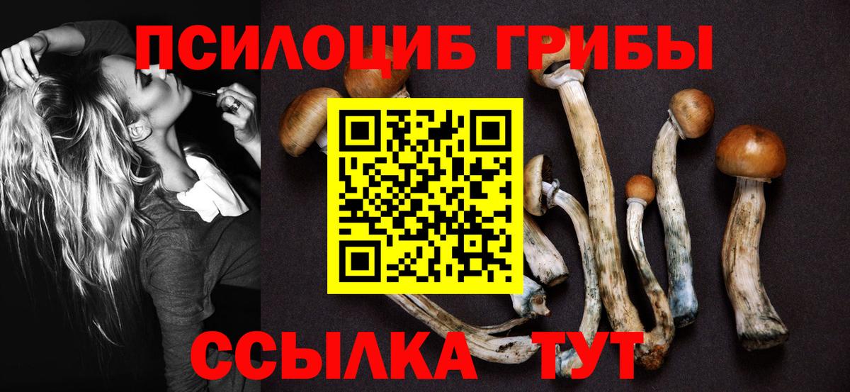 Орехово-Зуево  Галлюциногенные грибы прущие грибы  где найти наркотики  Вход с VPN 